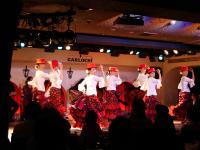 初めての方の、やさしいフラメンコ入門クラス
その他 初級、中級、中上級クラスもありますのでフラメンコにご興味のある方
HPよりお問い合わせください。